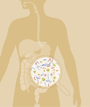 illustratie_microbioom